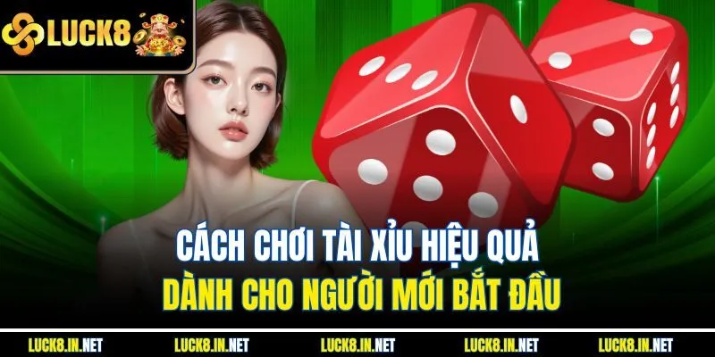Cách chơi tài xỉu hiệu quả dành cho người mới bắt đầu