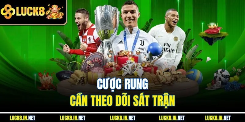 Cược rung cần theo dõi sát trận