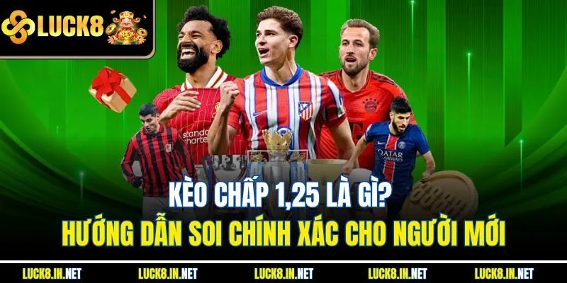 Kèo Chấp 1,25 Là Gì? Hướng Dẫn Soi Chính Xác Cho Người Mới