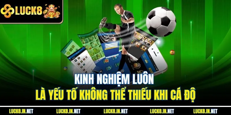 Kinh nghiệm luôn là yếu tố không thể thiếu khi cá độ