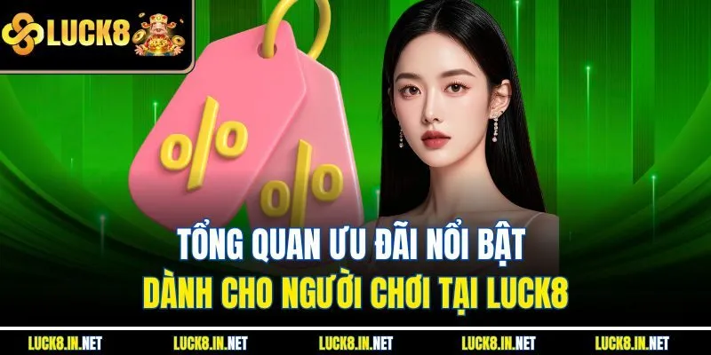 Tổng quan ưu đãi nổi bật dành cho người chơi tại luck8